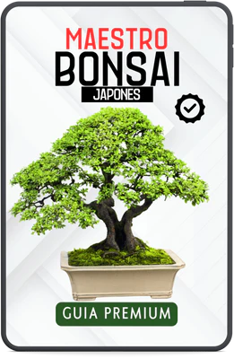 MAESTRO BONSAI - GUIA PREMIUM
